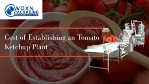 Read more about the article Cost of Establishing an Tomato Ketchup Plant