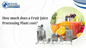 Read more about the article How much does a Fruit Juice Processing Plant cost?