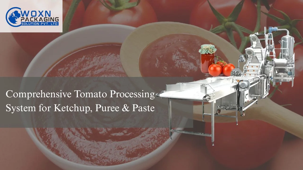 You are currently viewing Comprehensive Tomato Processing System for Ketchup, Puree & Paste