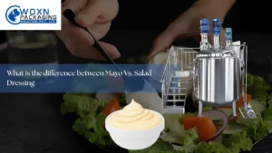 Read more about the article What is the difference between Mayo Vs. Salad Dressing